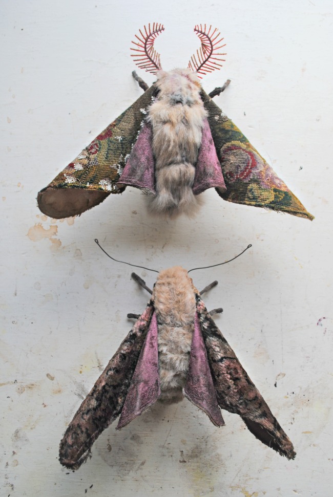 2014-01-15-Growingmoths1.jpg