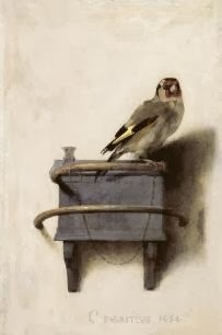 2014-01-17-Goldfinch.jpg