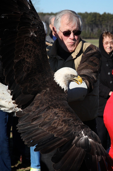 2014-01-17-eagle5.jpg
