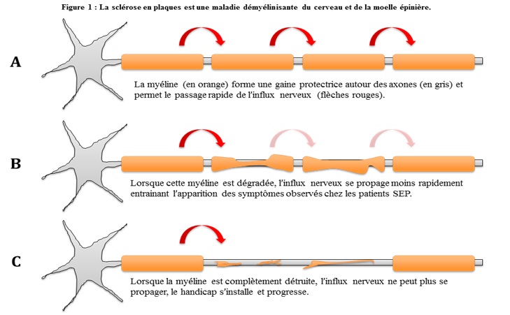 2014-01-21-VDamotteFig1.jpg