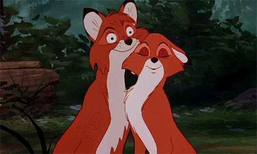 2014-02-02-foxcuddle.gif