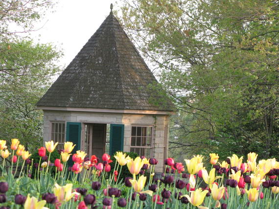 2014-02-04-SpringGazeboTulips2.jpg