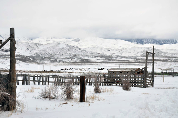 2014-02-05-013013_Elko_RandRanch.jpg