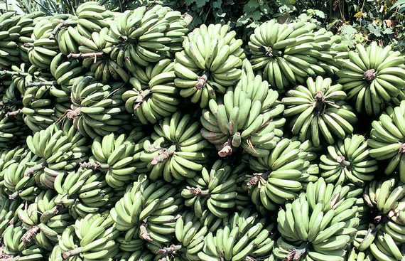 2014-02-05-bananas.jpg