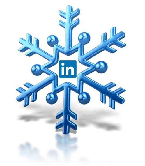 2014-02-08-LINKEDINSNOWFLAKE.png