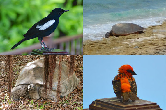 2014-02-13-animals.jpg