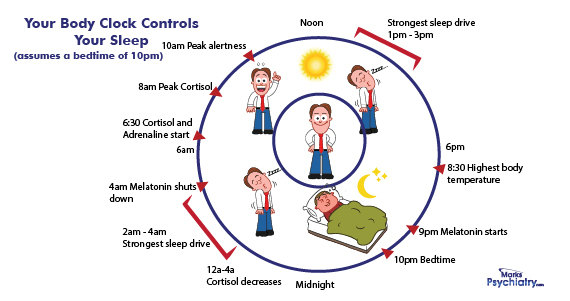 Frontiers  The Impact of Rotating Night Shift Work and Daytime