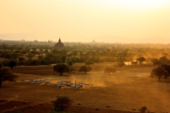 Dusty Bagan sunset