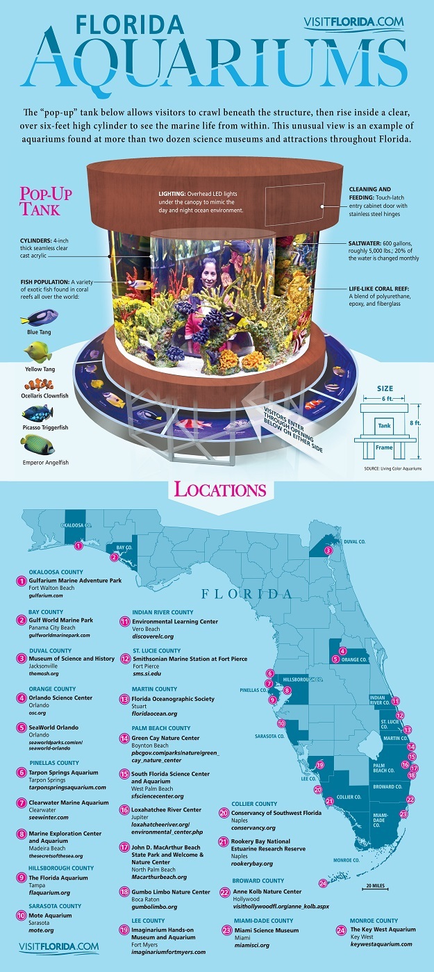 2014-03-03-Florida_Aquariums_Final_300dpiHuffPo3.jpg