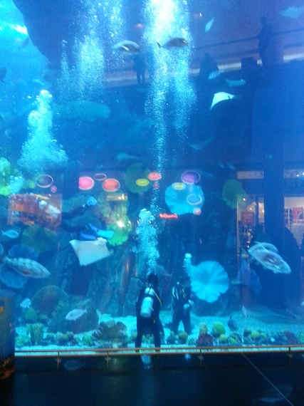 2014-03-07-AquariumMall.jpg