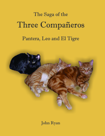 2014-03-09-ThreeCompaneros6EarthDrReeseHalter.jpg