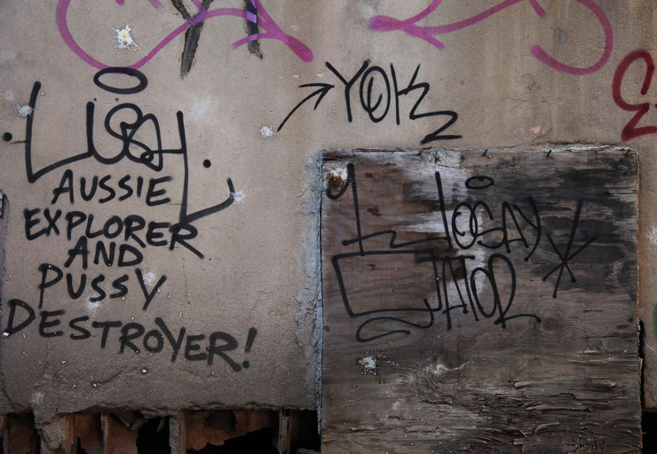 2014-03-12-brooklynstreetartlushjaimerojonewjersey1112web9.jpg