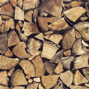 2014-03-14-burkedecorfirewood.jpg