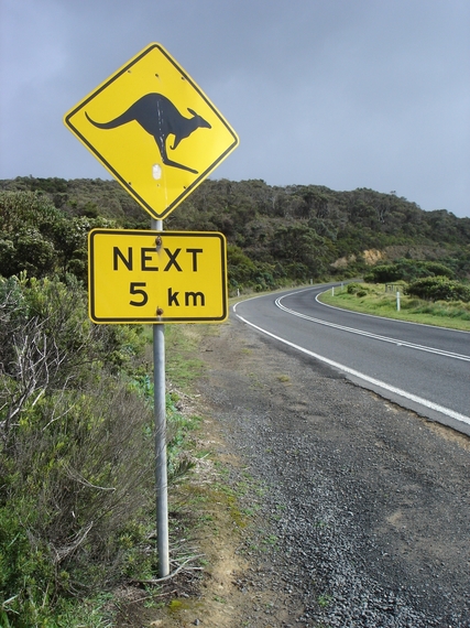 2014-03-19-BostonMelbournekangaroosign.JPG