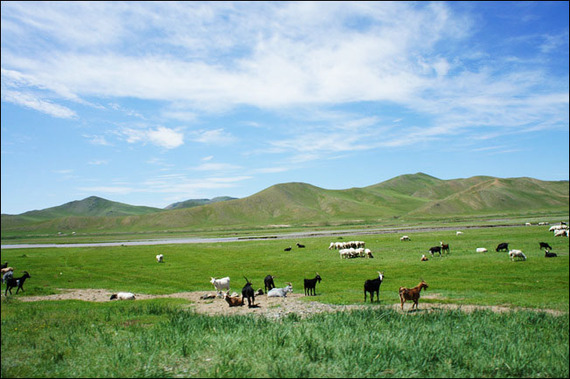 2014-03-24-mongol_350.jpg