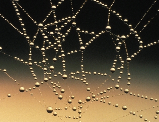 2014-03-25-SpiderWeb.jpg