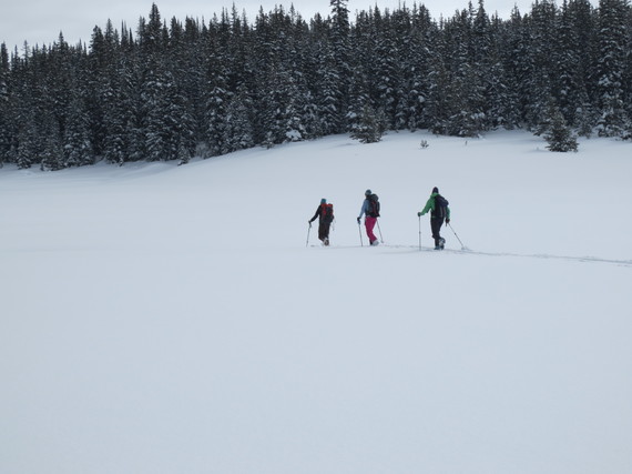 2014-03-26-Aspenski1.jpg