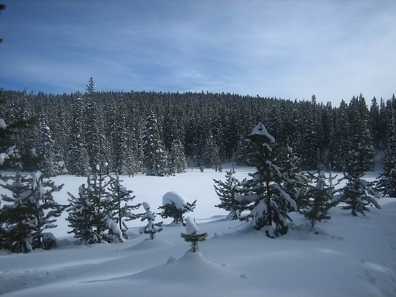 2014-03-26-HutTripSnowyMeadow.jpg