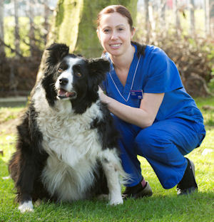 2014-03-28-PDSAPetFitClubBorderCollieZedwithPDSAHeadNurseHelenDarnellresized.jpg