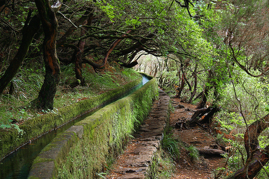 2014-03-29-madeira2.jpg