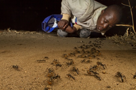 2014-03-30-Piotr_Mozambique_2012_7016.jpg