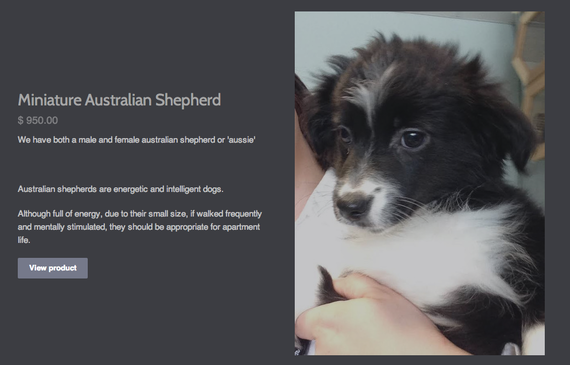 2014-03-31-SafariPuppies.png