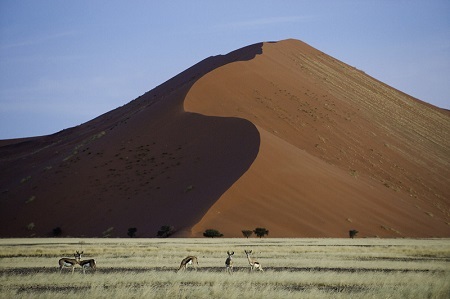 2014-03-31-Sossusvlei081.jpg