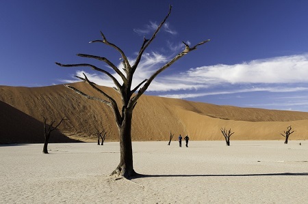 2014-03-31-Sossusvlei148.jpg