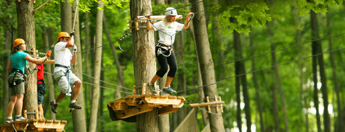 2014-04-03-TreeTopTrekking.jpg