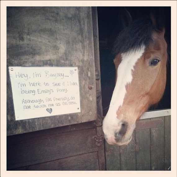 2014-04-19-horseridingYazminStellaVine2014.png