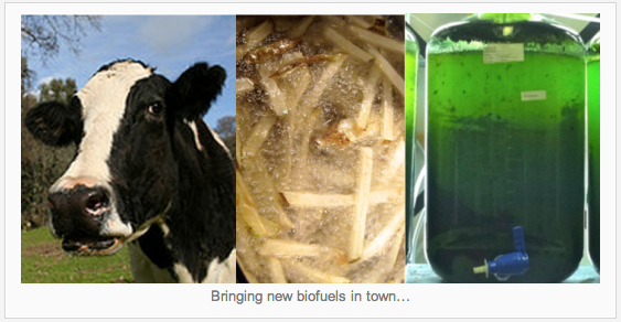 2014-04-21-biofuels.png