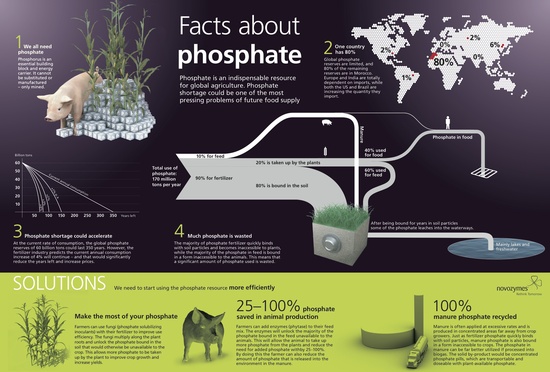 2014-04-22-FactsaboutphosphateNovo.jpg