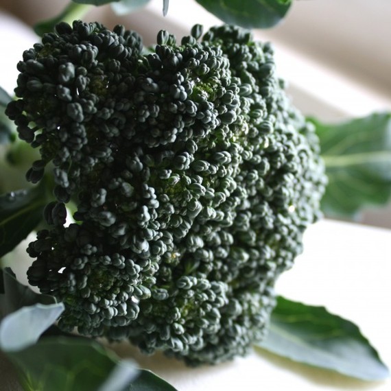 2014-04-23-broccolihead600x600.jpg