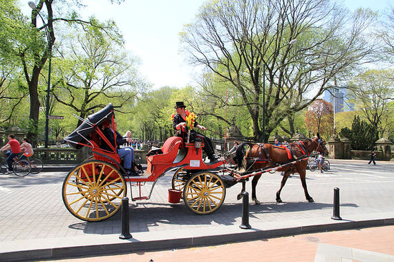 2014-04-29-800pxUSANYCCentral_Park2.jpg