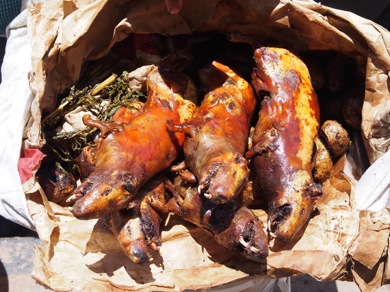 2014-05-08-GuineaCooked.jpg