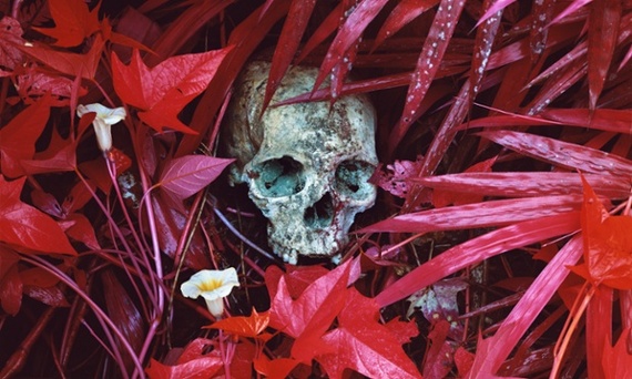 Of Lillies And Remains, 2012 © Richard Mosse