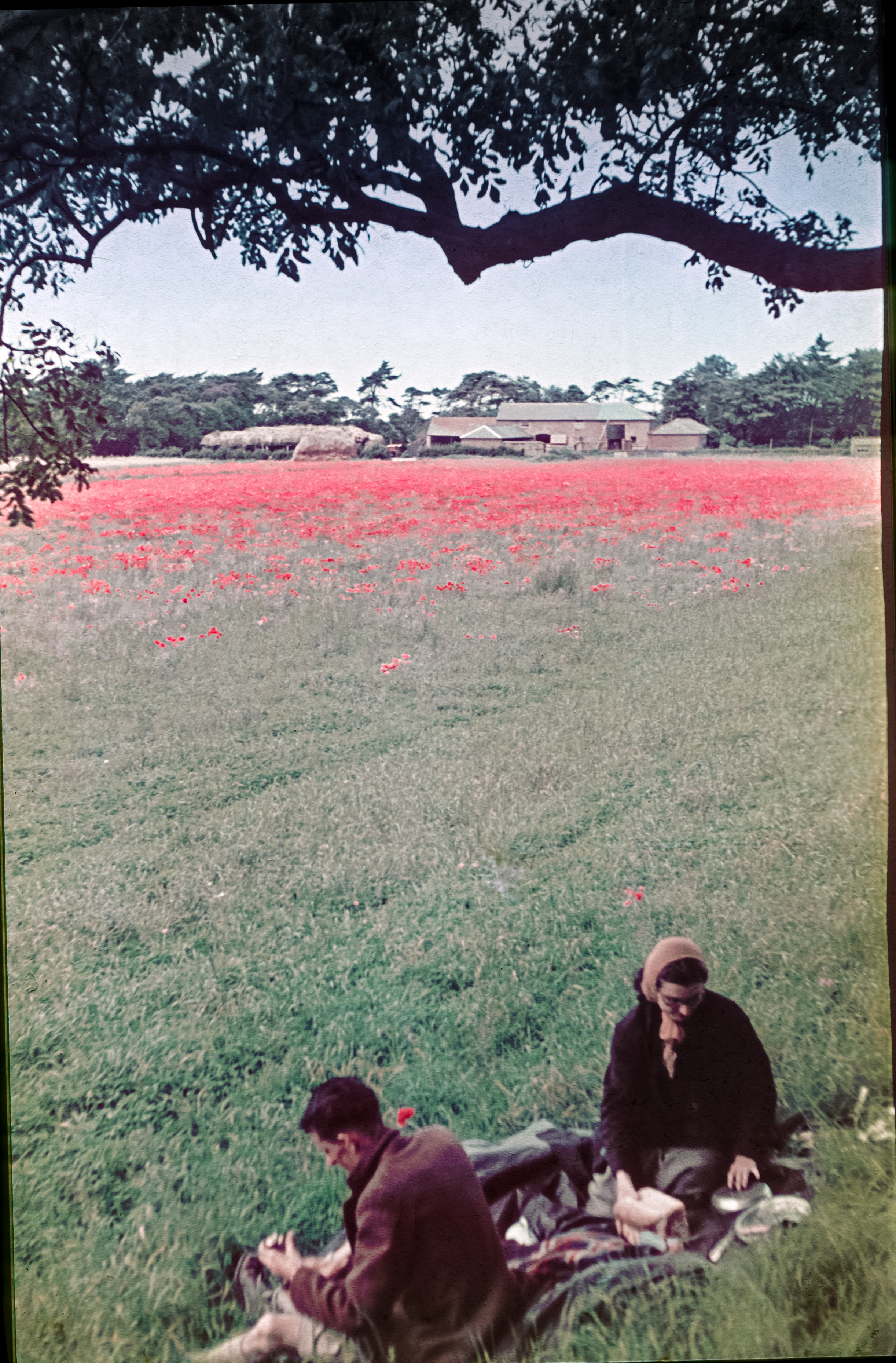 2014-05-15-Picnic_LincolnshireWolds.jpg