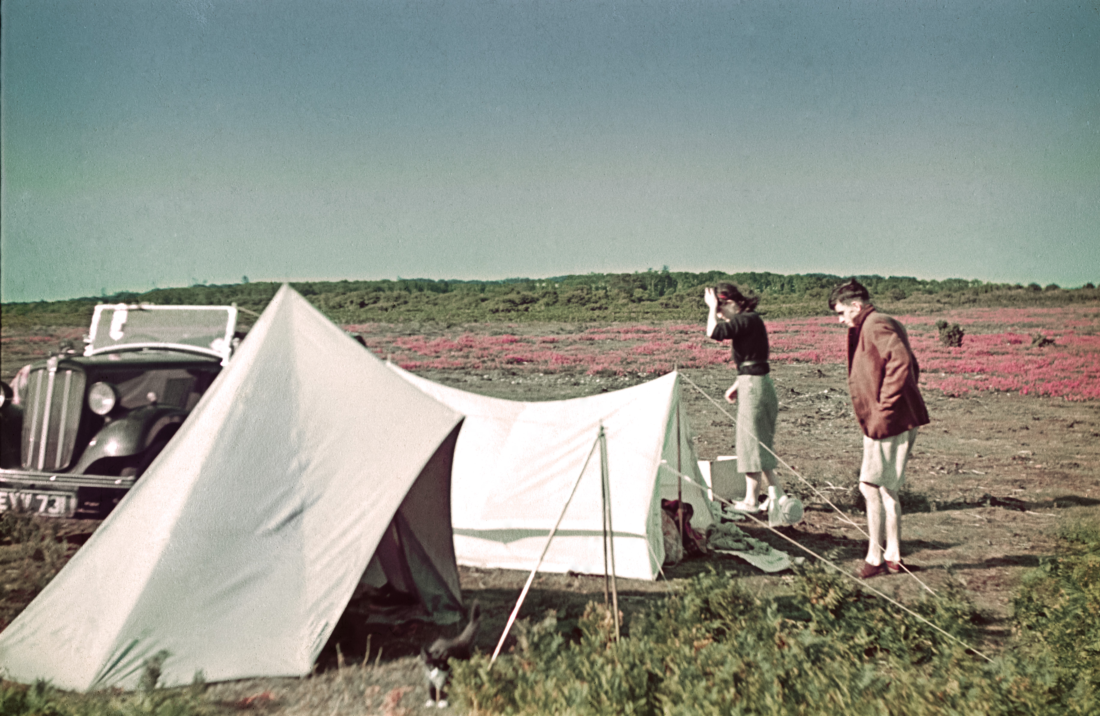 2014-05-15-YorkshireCampsite.jpg