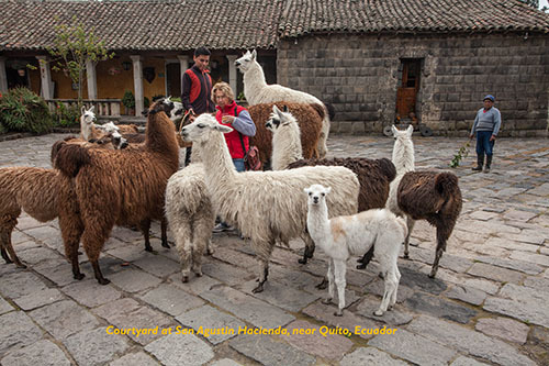 2014-05-16-ecuador_4479.jpg