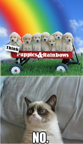 2014-05-17-puppies.png