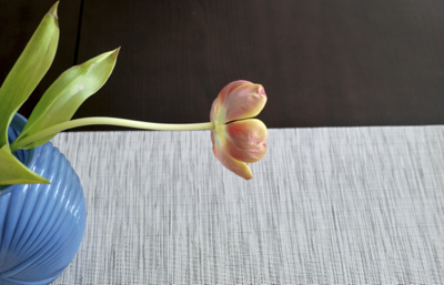 2014-06-01-Floweronblacktable.jpg