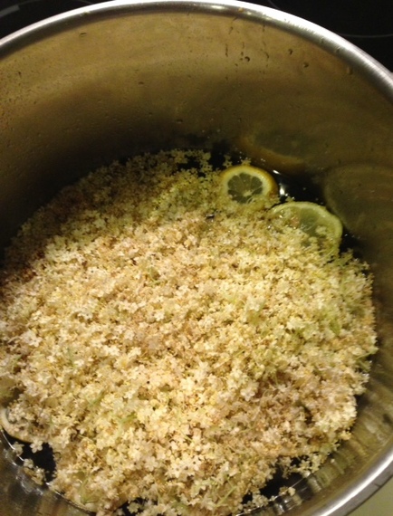 2014-06-03-elderflowersyrup2.JPG