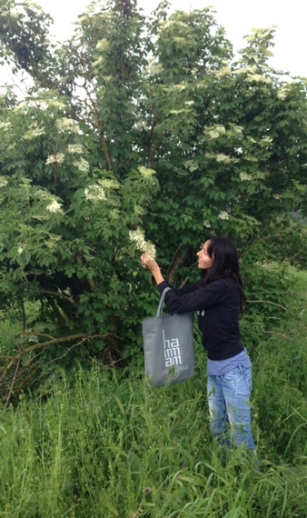 2014-06-03-gatheringelderflowers.JPG