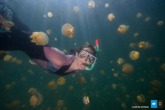 2014-06-06-jellyfish_lake_snorkel.jpg