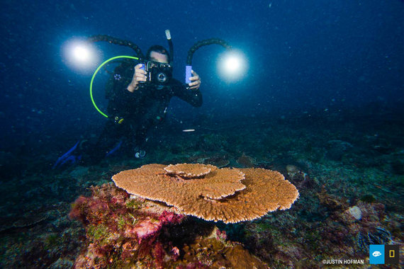 2014-06-06-norfolk_island.jpg