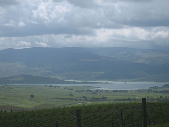 2014-06-10-FeudoArnaciovineyards1.jpg