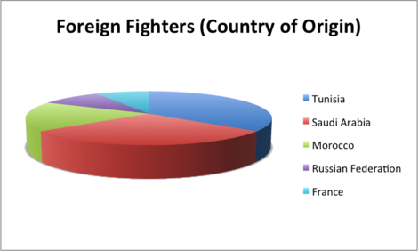 2014-06-12-foreignfighterpiechart.png