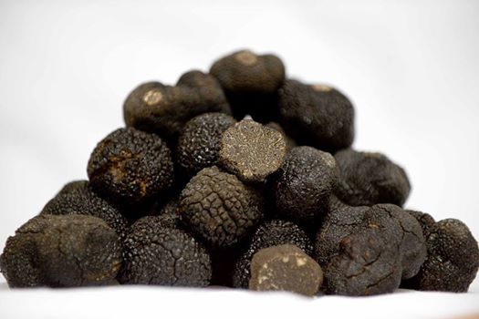 2014-06-17-BlackTruffles.jpg