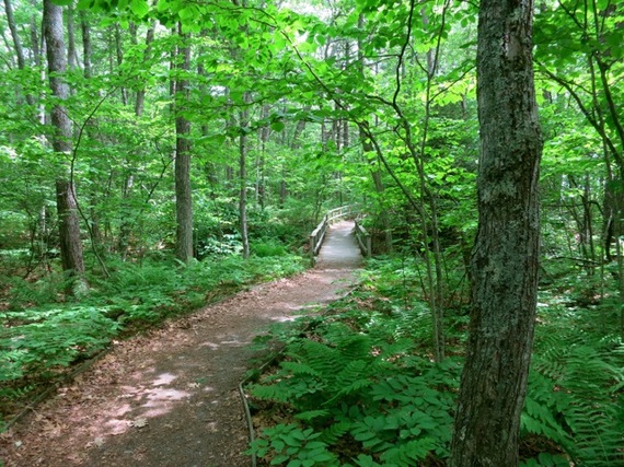 2014-06-19-RachelCarsonWildlifeRefuge.jpg