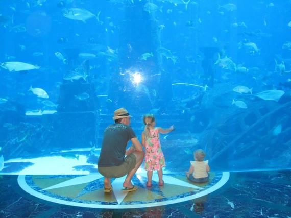 2014-06-23-1461071_10153587189970311_536404604_n.jpg